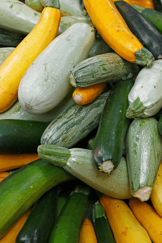 A stack of summer squash