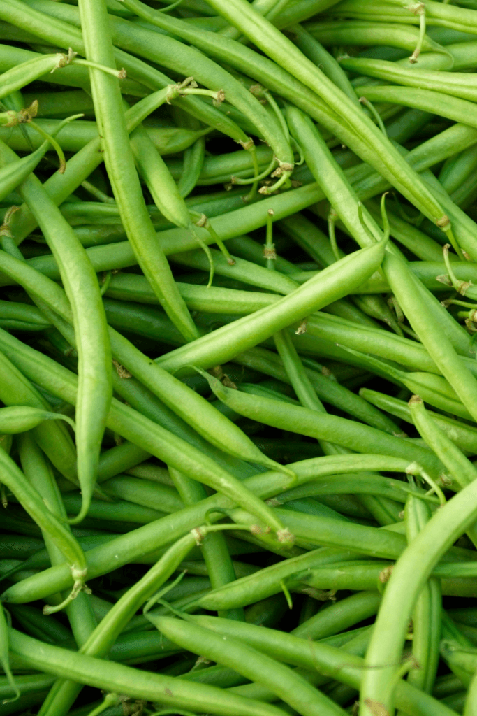 A pile of green beans